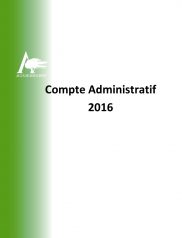 Synthèse du Compte Administratif 2016