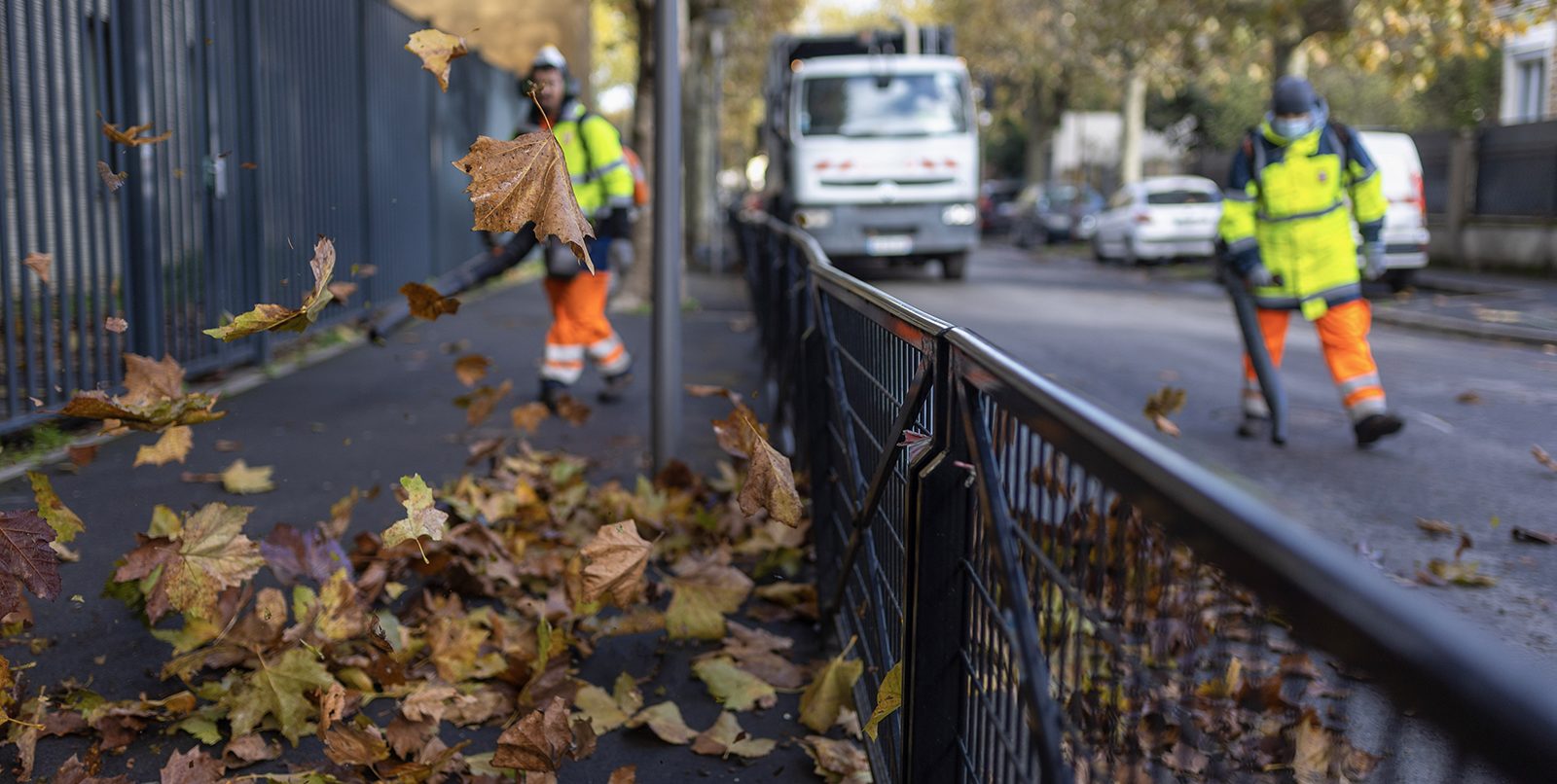 Ramassage feuilles mortes