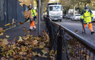 Ramassage feuilles mortes