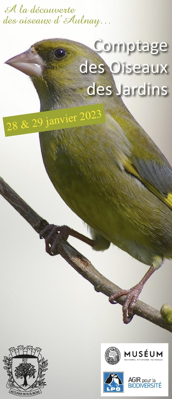 Comptage des oiseaux