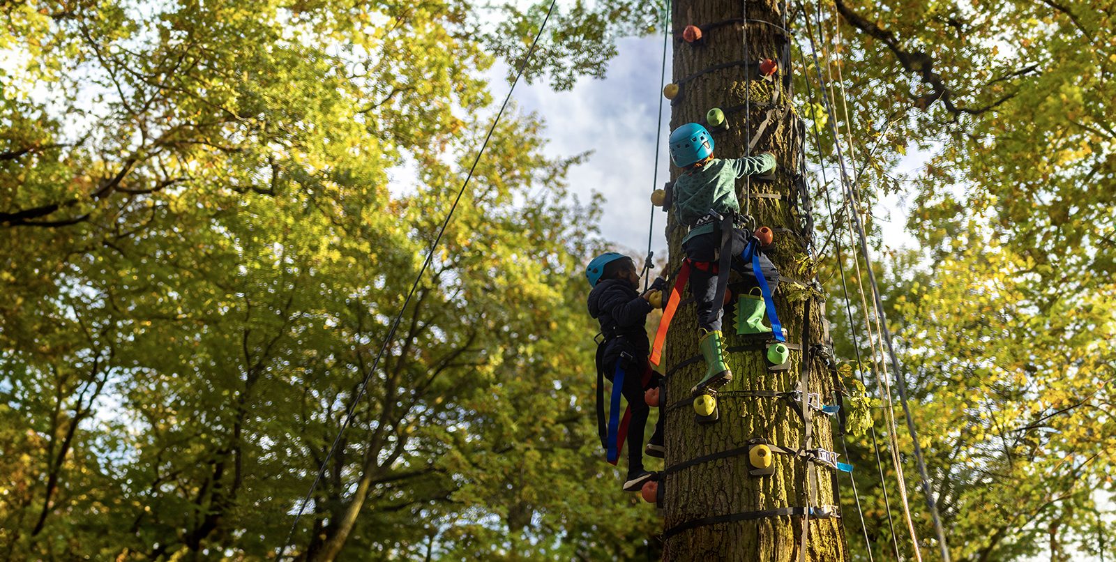 Fête de l'Arbre 2023