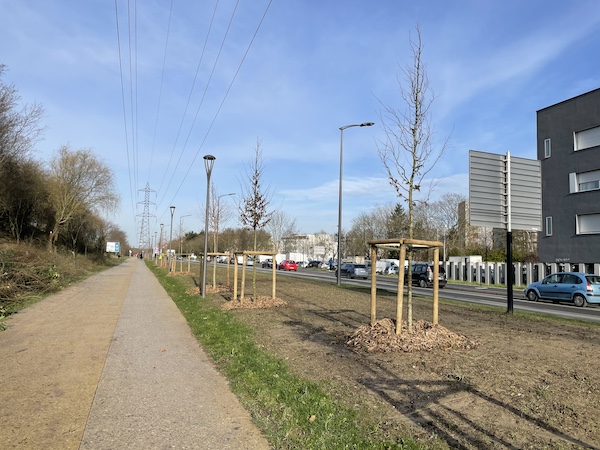 Quartier Gros Saule