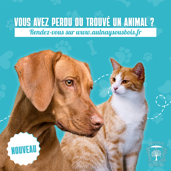Animaux-perdus/trouvés