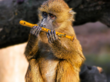 Singe tenant une flûte jaune comme s’il en jouait, dans un décor naturel