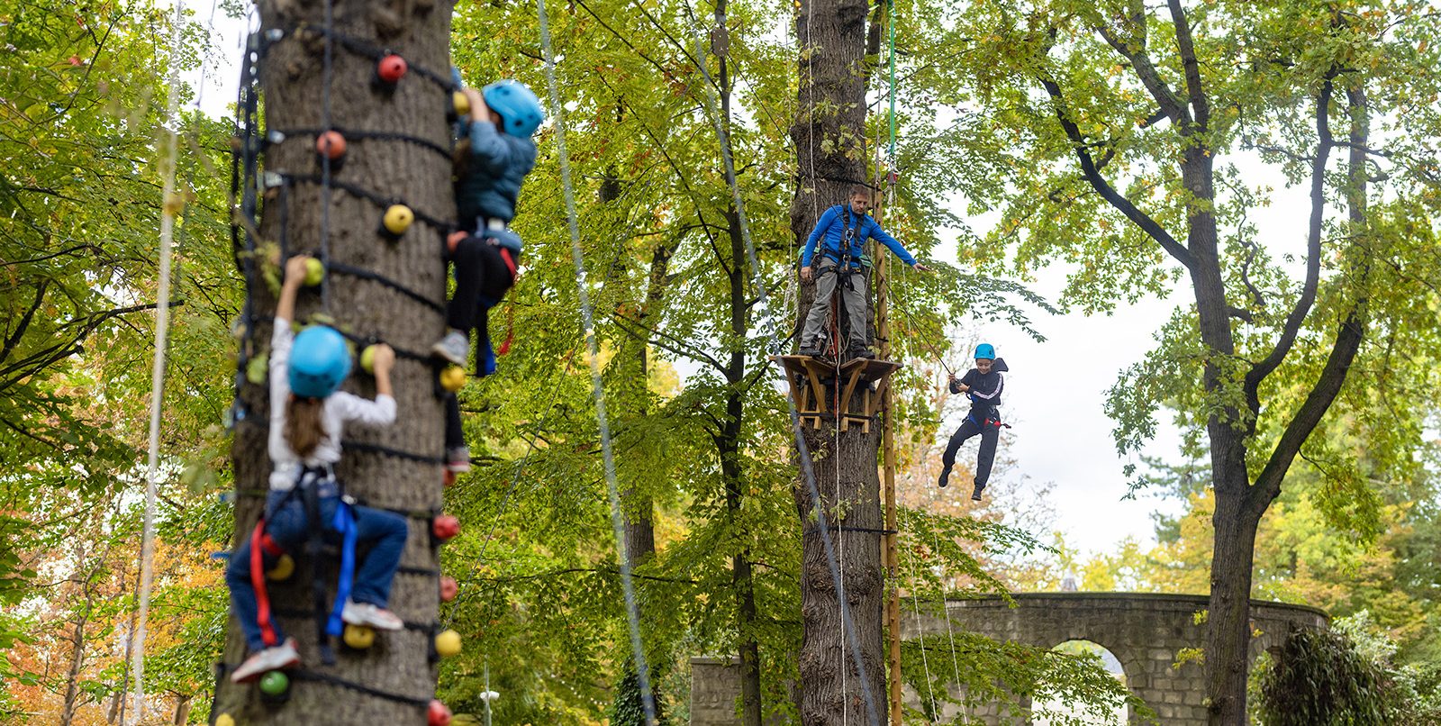 Fête de l'arbre