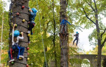 Fête de l'arbre
