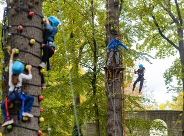 Fête de l'arbre