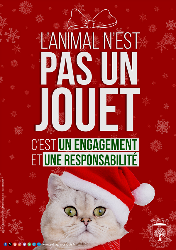 Campagne animale de noël