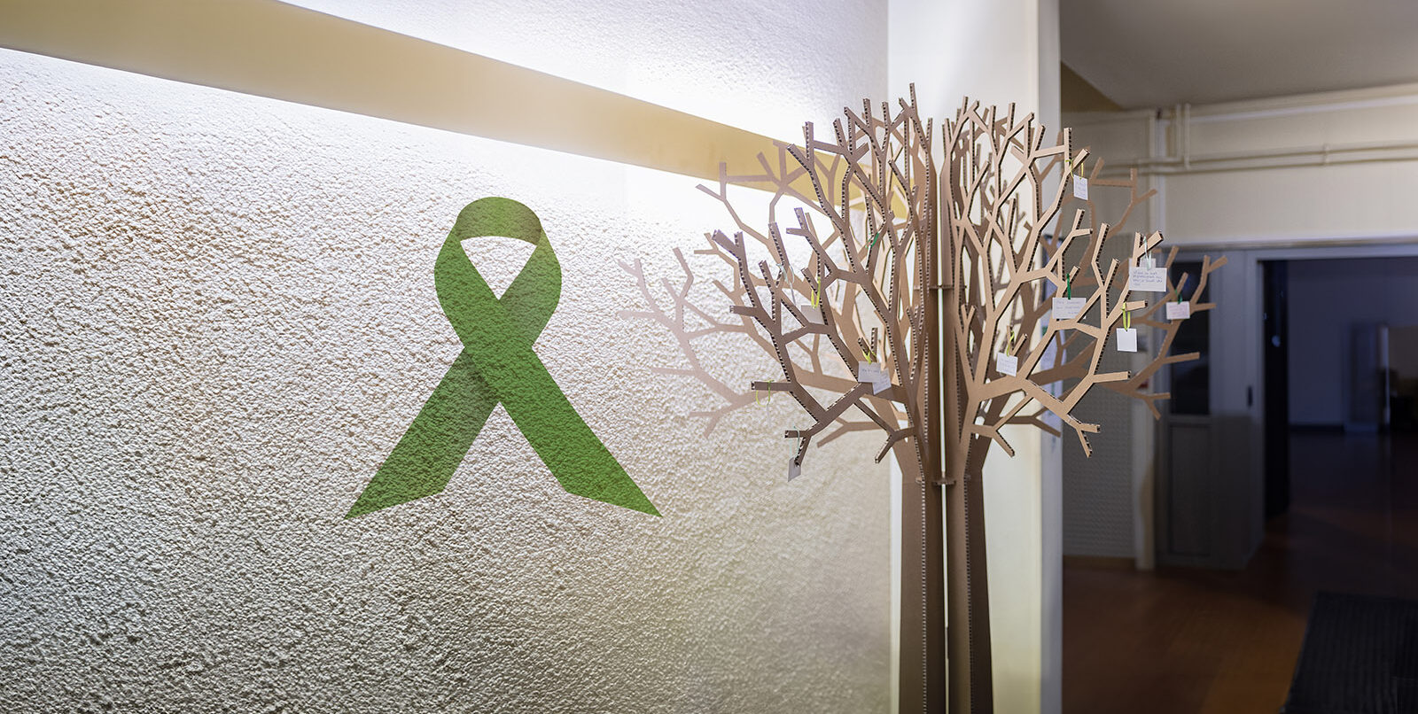 L’hôpital ambassadeur du don d’organes