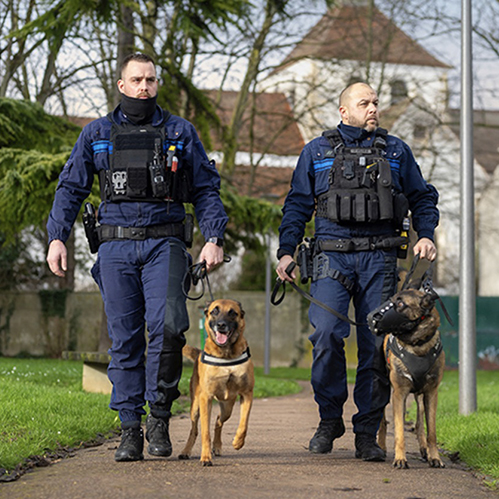 police municiaple - brigade canine