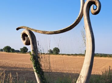 harpe en bois champs