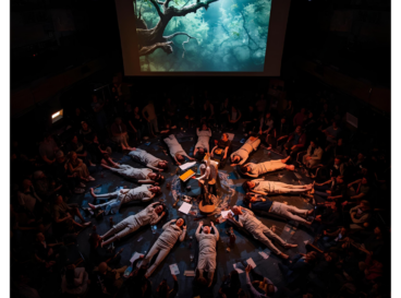 spectacle en milieu acouettique crd