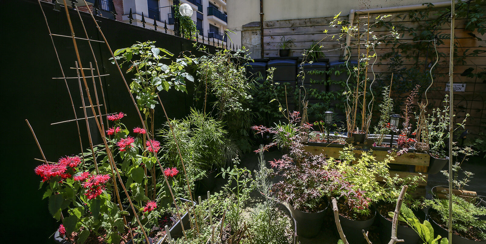 Concours des jardins et balcons fleuris 2025