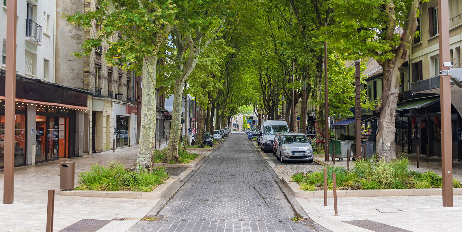 Actu oxy arbre