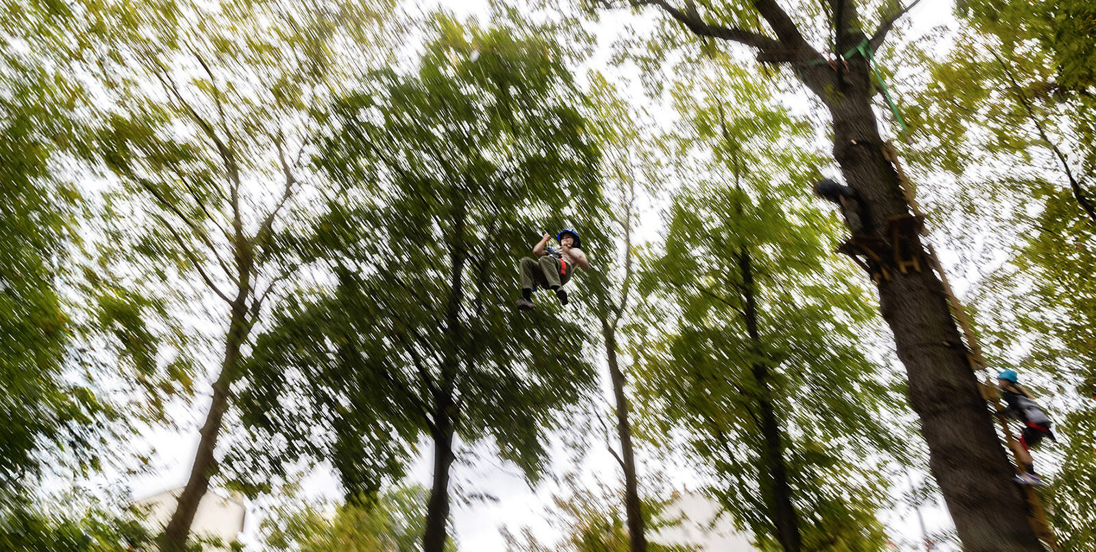 Fête de l'arbre